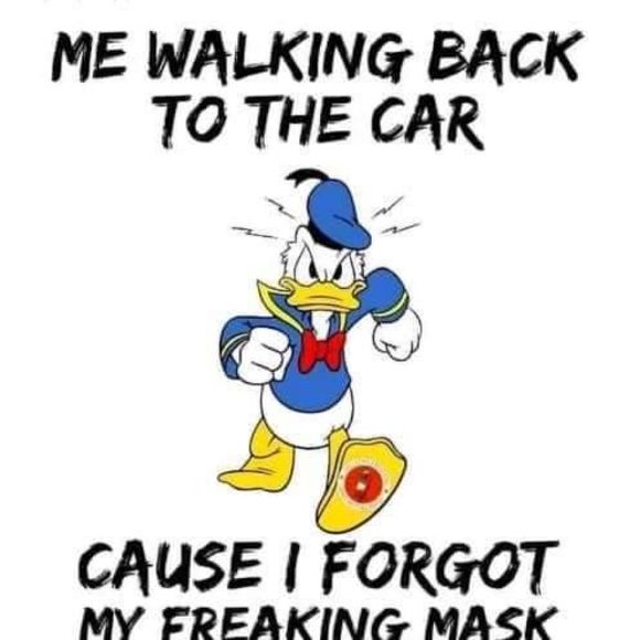 Meet your Posher, Letitia - Picture 1 of 1